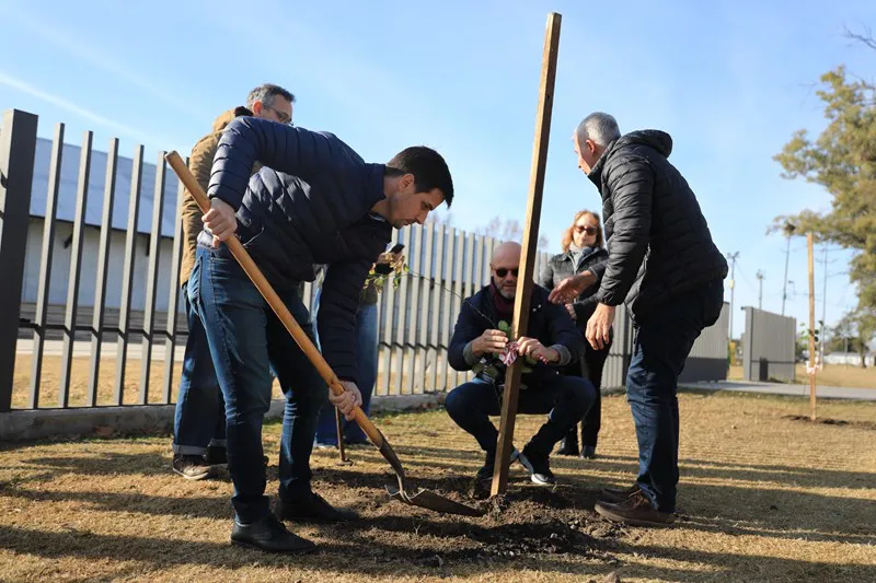 20 AÑOS POR EL FESTIVAL